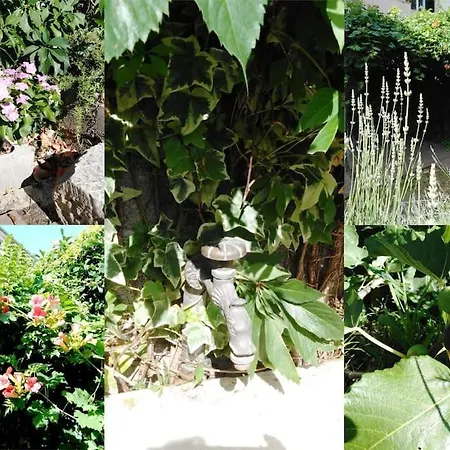 Emaus Garden - Center & 2 Bth شقة *