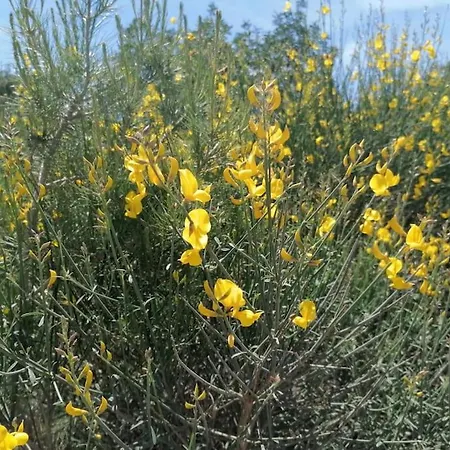 Lägenhet Emaus Garden - Center & 2 Bth